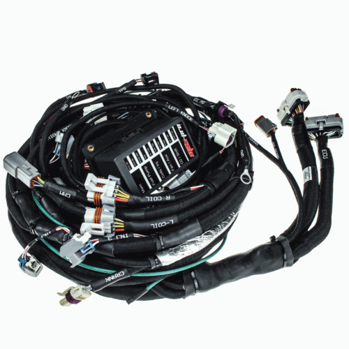 MS3Pro ECU plug and play wiring harness LS Engines 58x EV6 Fuel Injectors